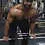 Thumbnail: Gym Chalk 100g